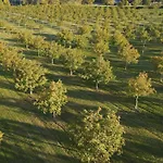 Domaine De La Noiseraie 4* Rhisnes