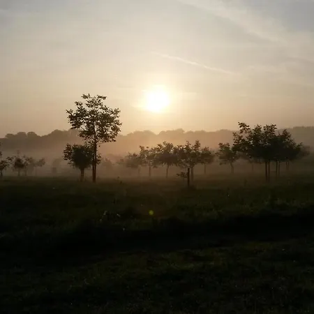 Bed & Breakfast Domaine De La Noiseraie Rhisnes