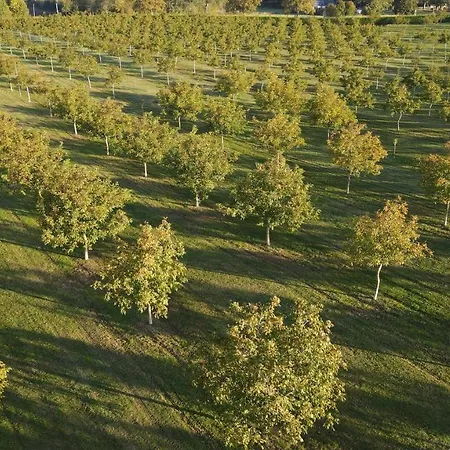 Domaine De La Noiseraie 4* Rhisnes