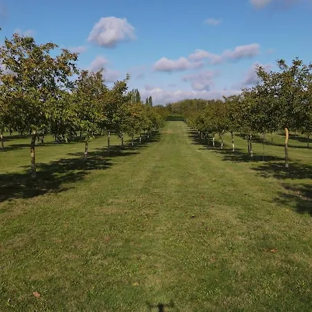 Domaine De La Noiseraie فندق مبيت وإفطار Rhisnes
