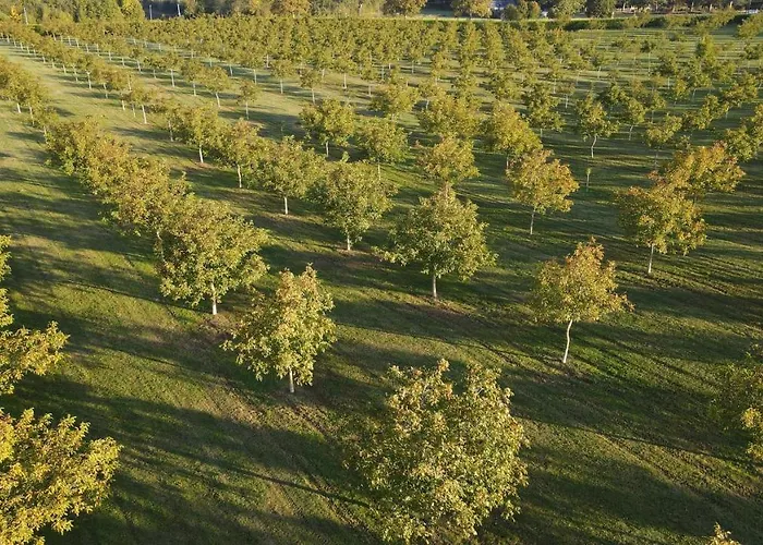 Domaine De La Noiseraie 4* Rhisnes